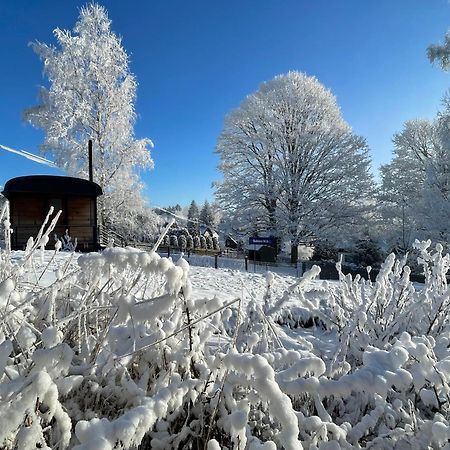 Вилла VagonБублава Экстерьер фото